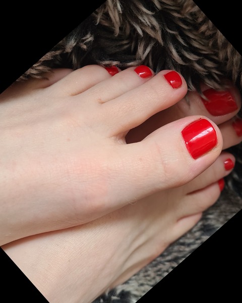 Feet of Switzerland cover image