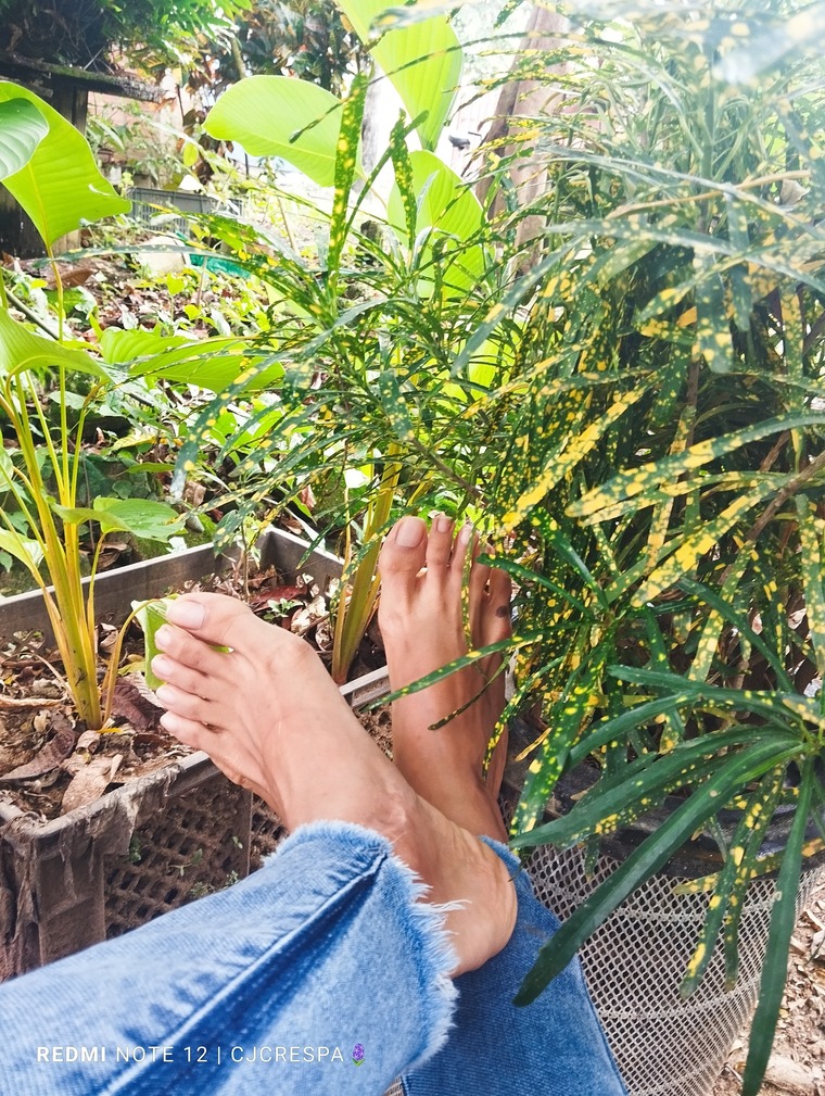Feet Pics CJ cover image