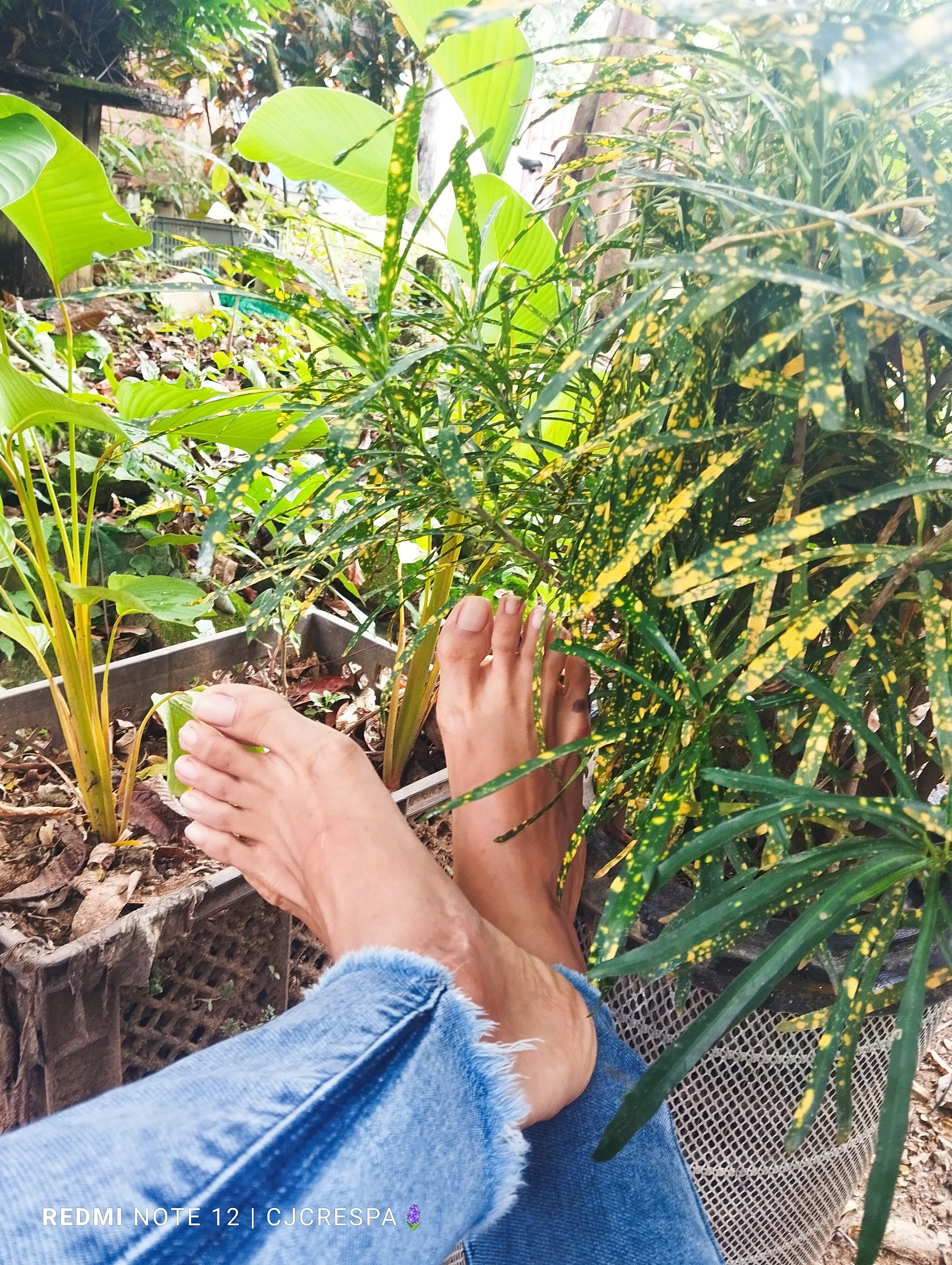 Feet Pics CJ banner image