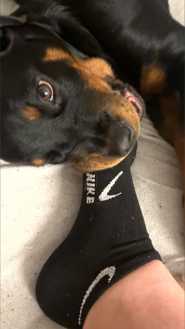Feets and more banner image