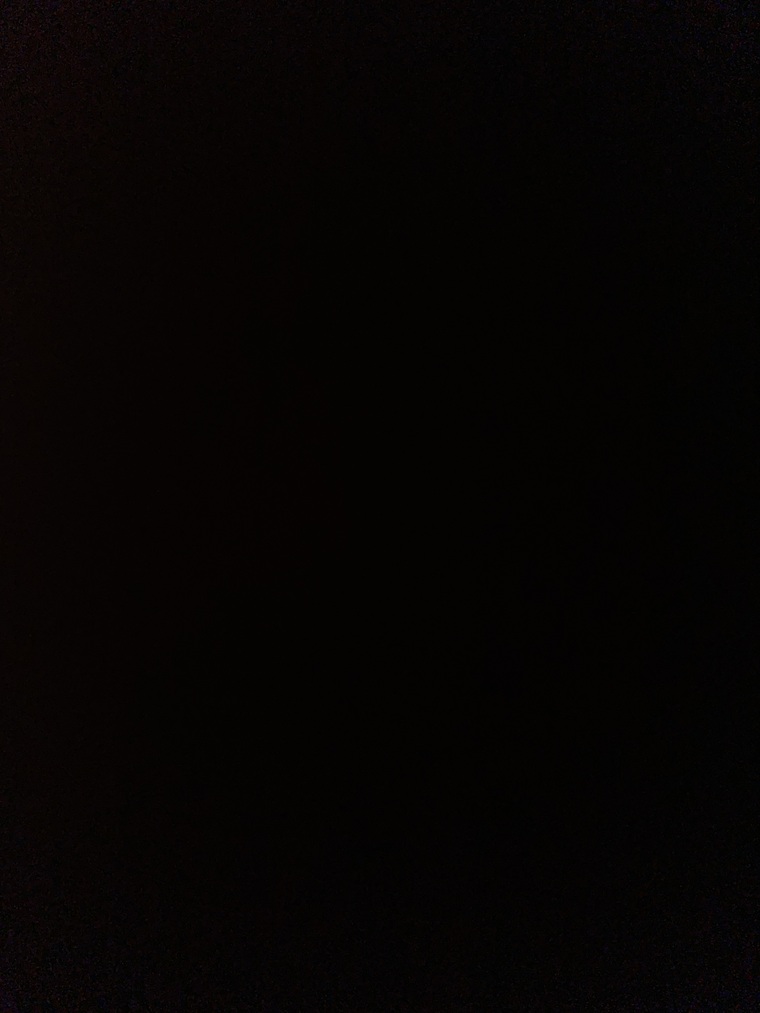 Holly cover image