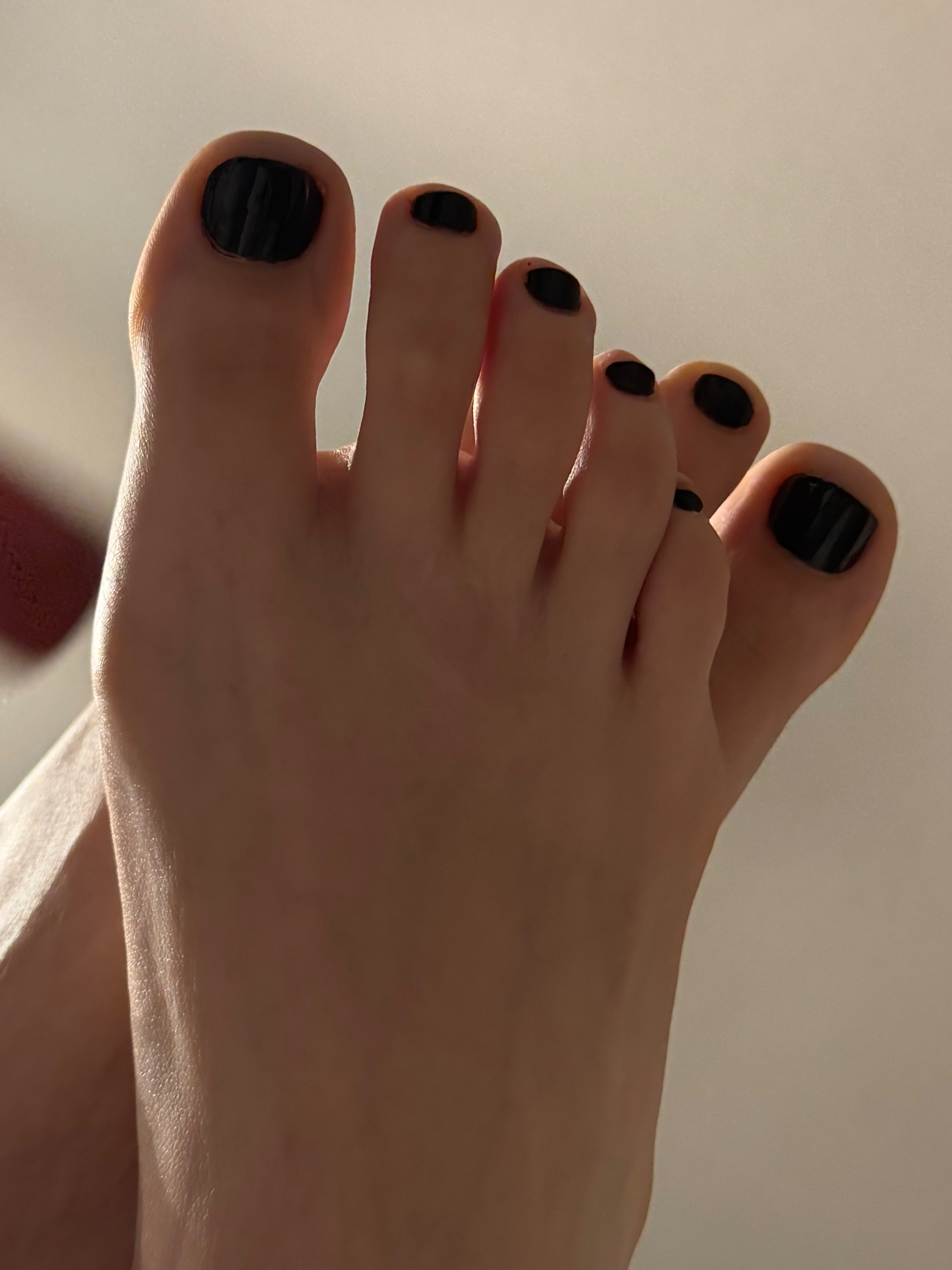 Teasing_toesies0 banner image