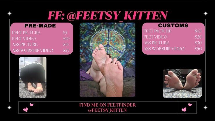 Kitten banner image