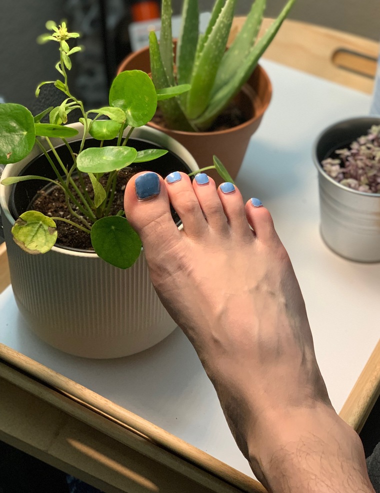 Feet<3 banner image