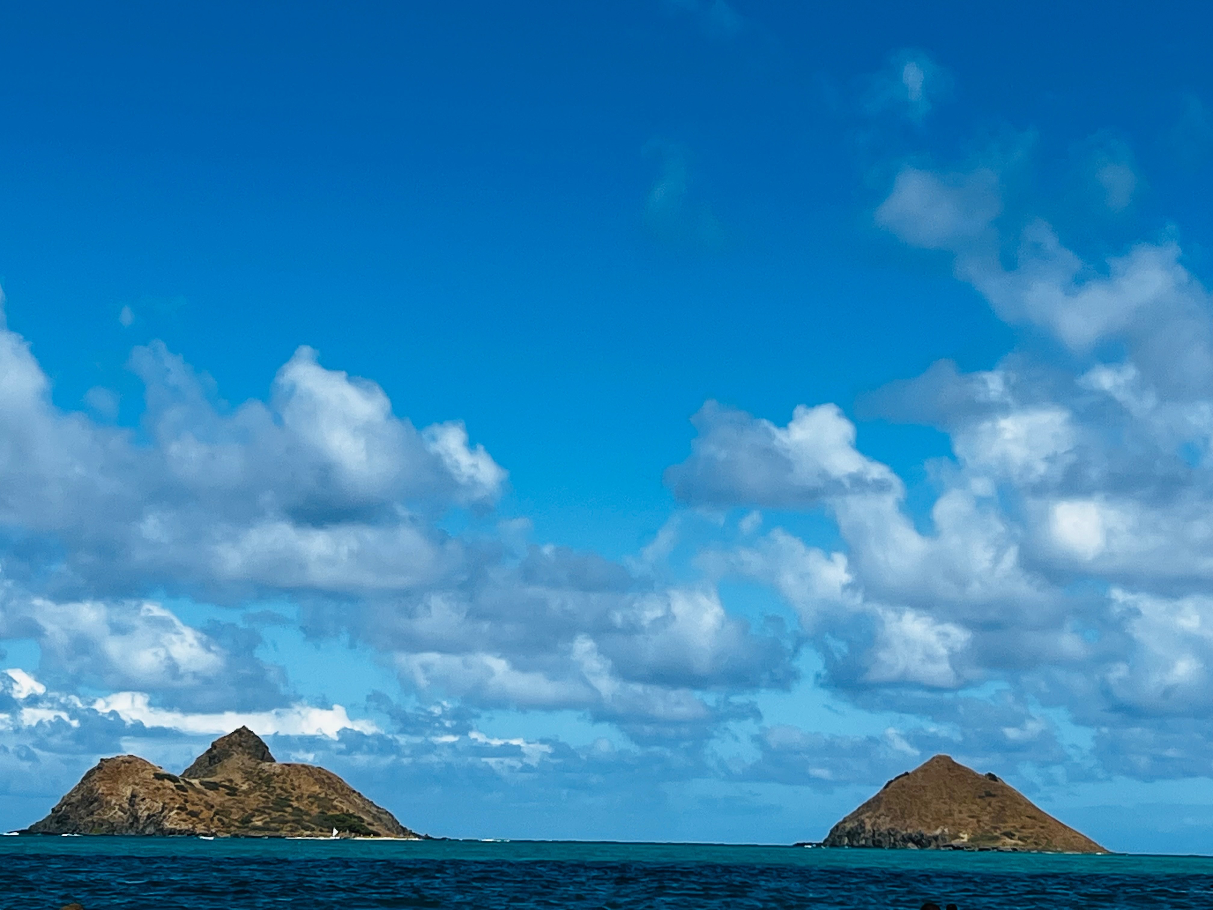 ❤Xari❤ banner image