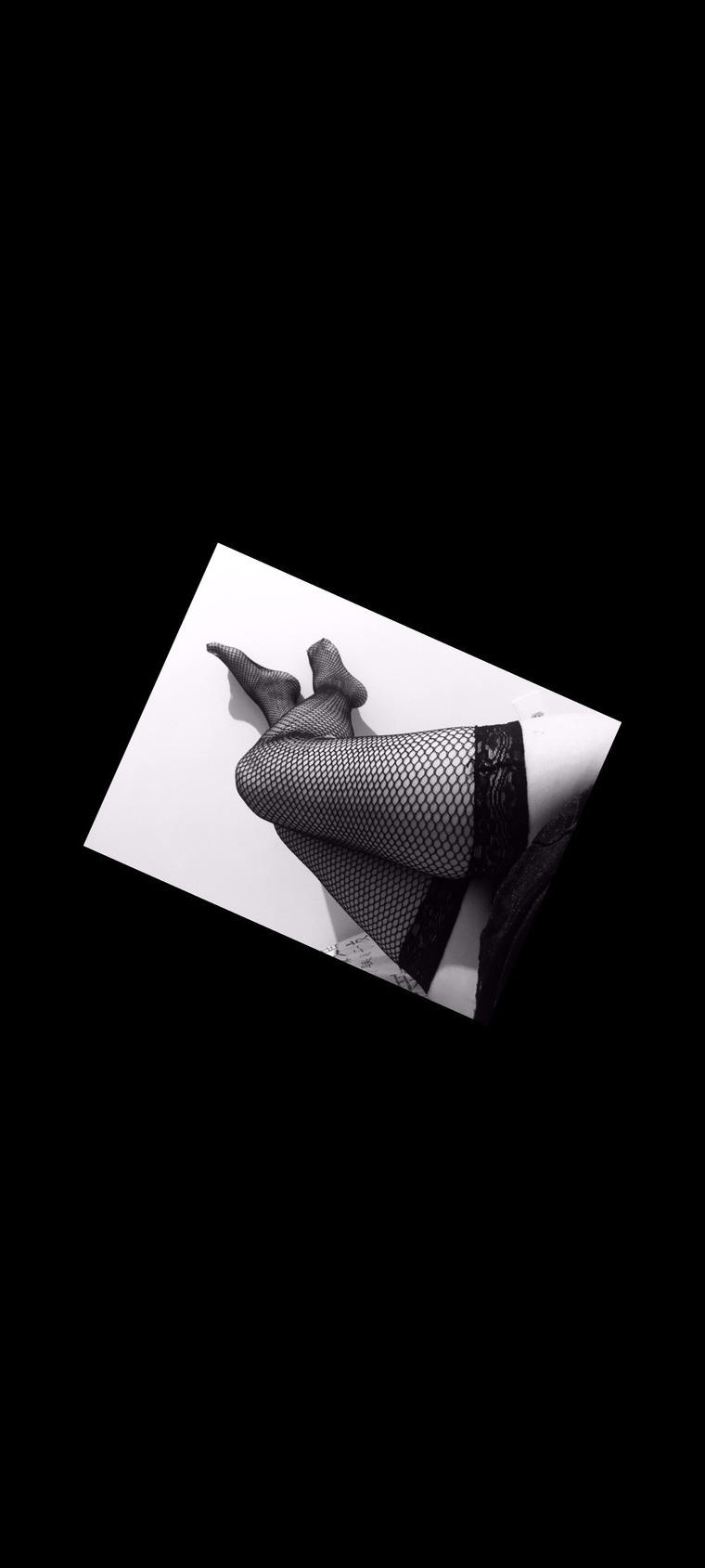 Felina cover image