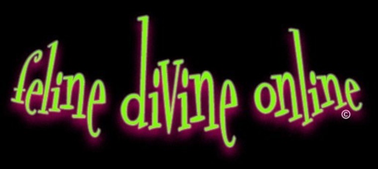 Feline Divine banner image