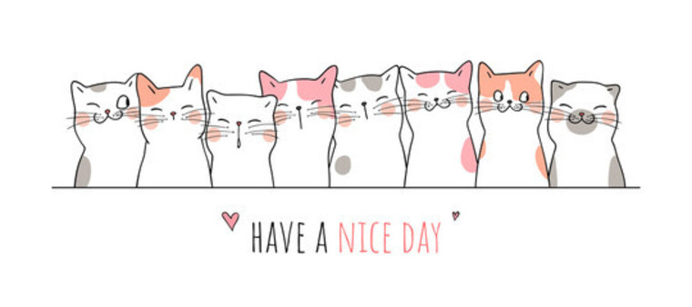Feline Freak banner image
