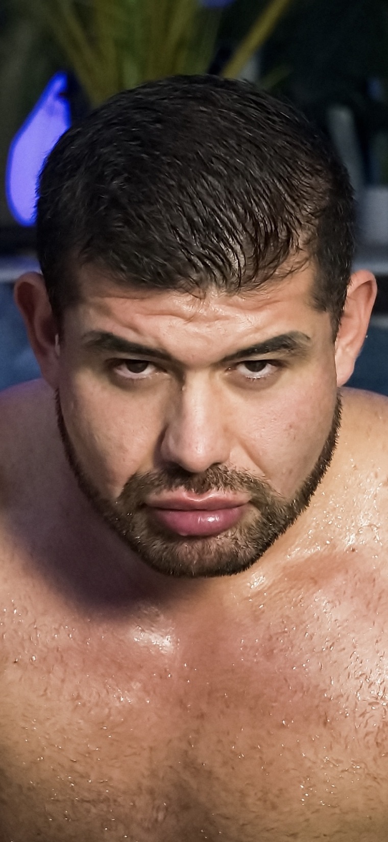 Felipe Teleas banner image