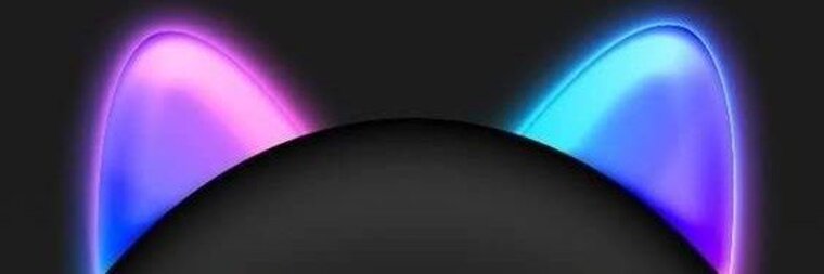  PIIPE ZAPATA  cover image