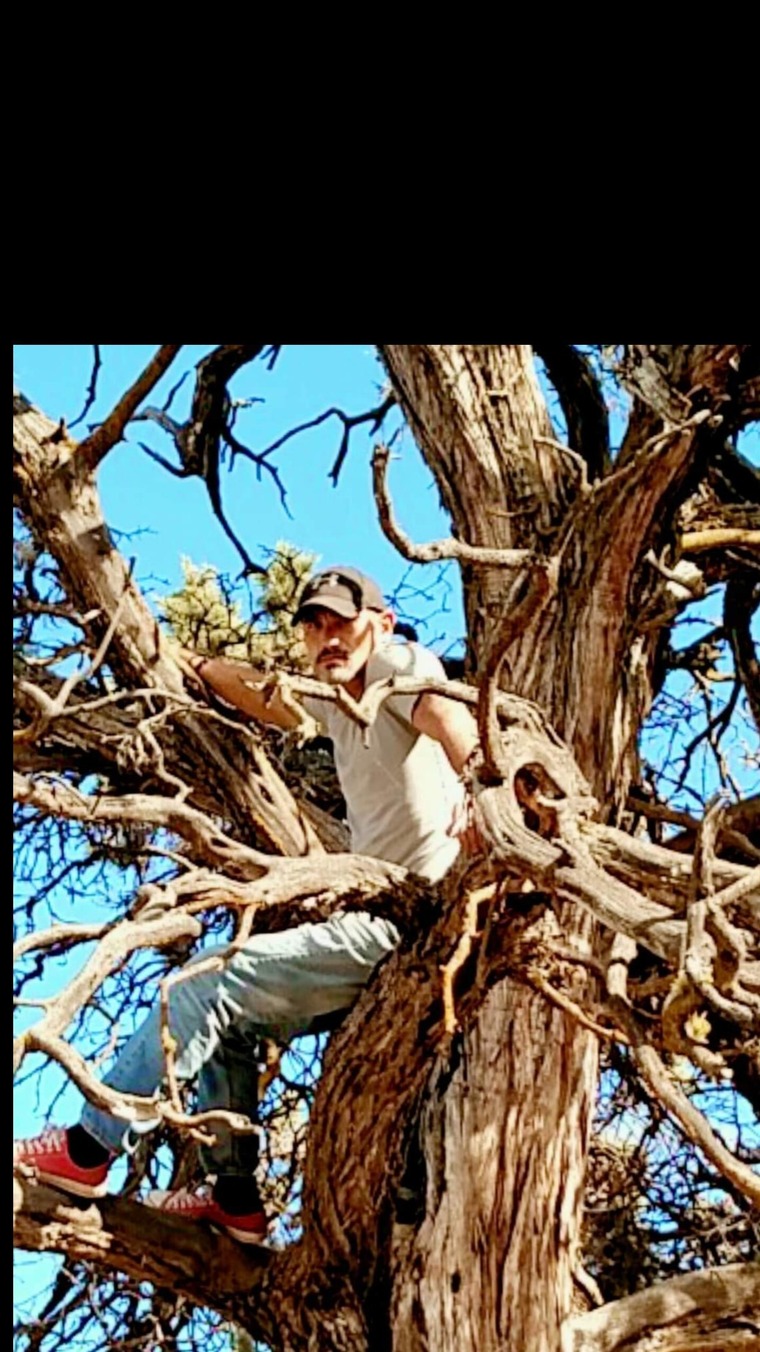 Cody cover image