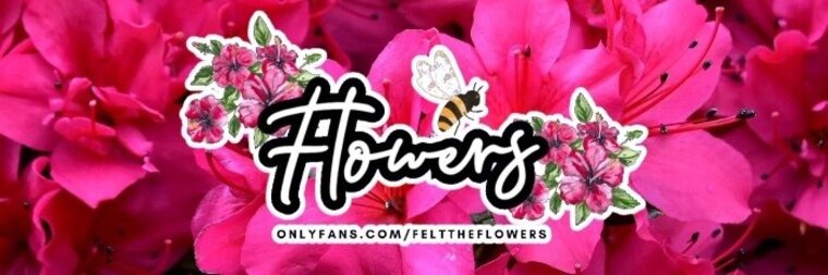 flowers (づ ◕‿◕ )づ banner image