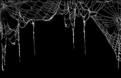 BEP cover image