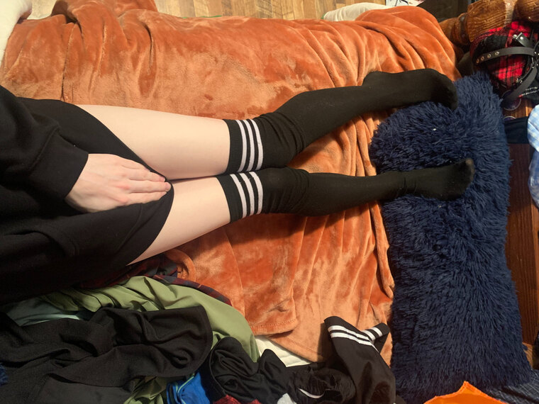 FemboyWes cover image