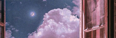 Aurora Lily cover image