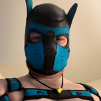 Rock the pup avatar