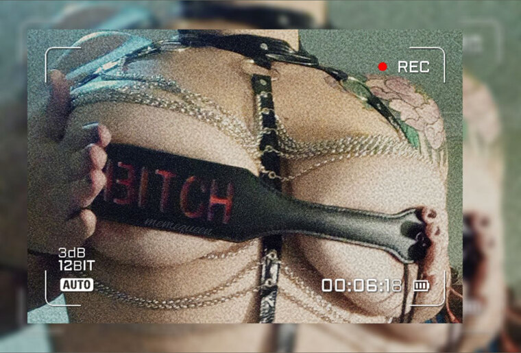 ⛓️ R E G I N A 🔗 cover image
