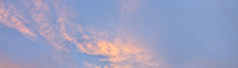 FemErin_ banner image