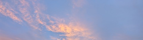 FemErin_ cover image