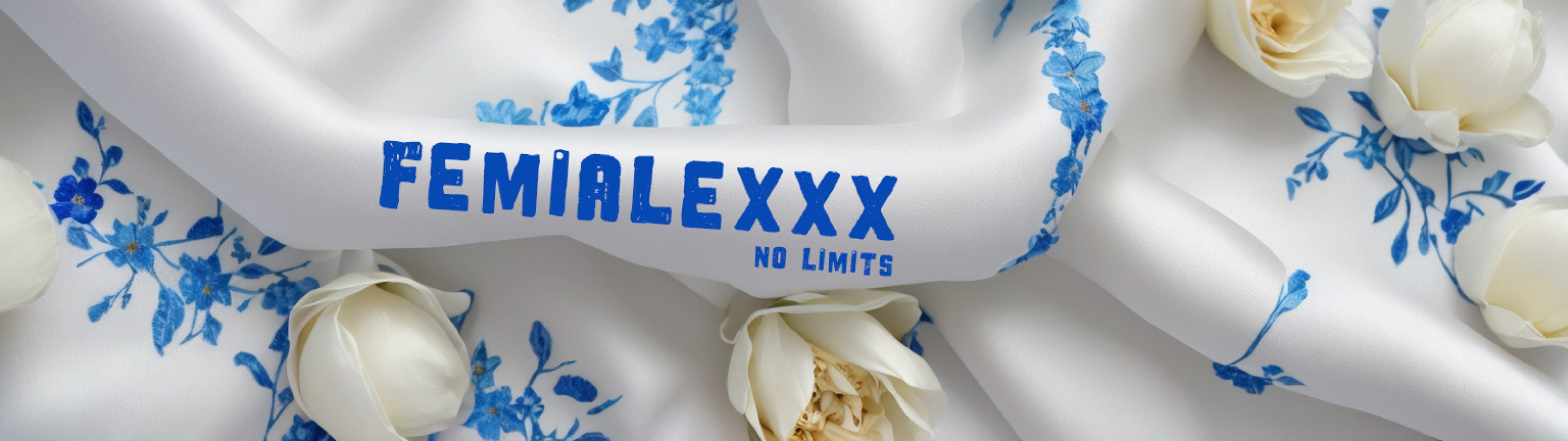 FemiAlexxx banner image