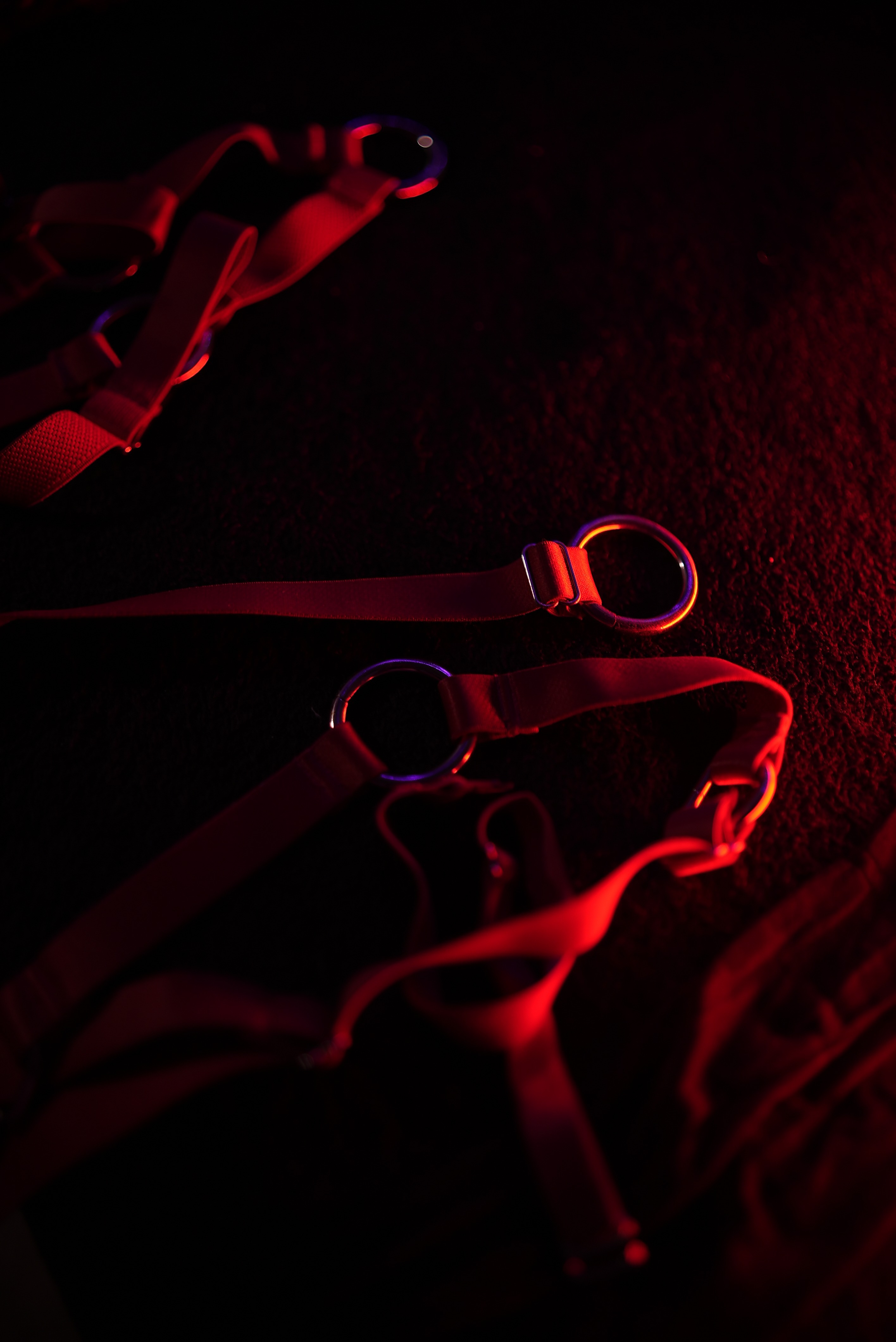 Cammiil Fênix banner image