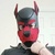 Fenn Pup avatar