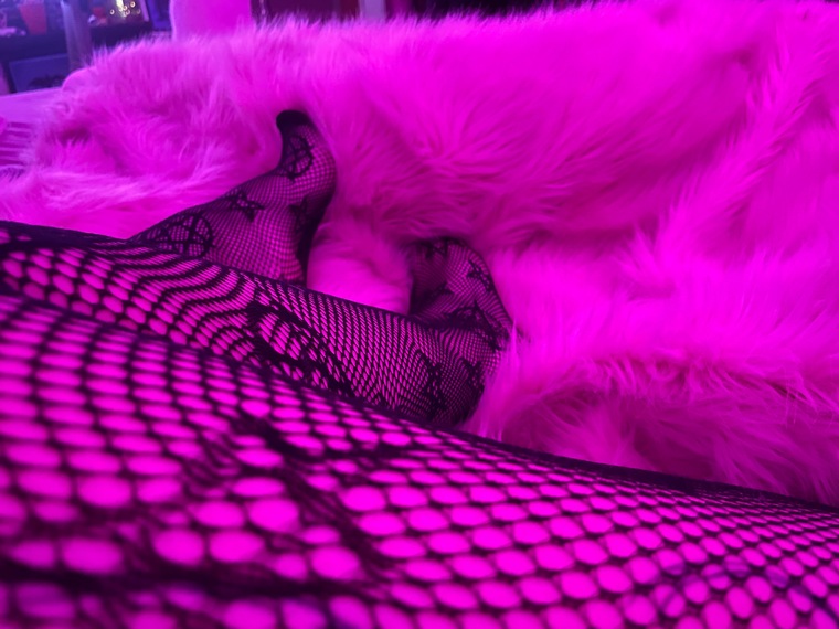 Pixie banner image