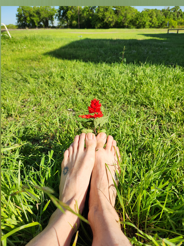 Feral Feet Treat cover image