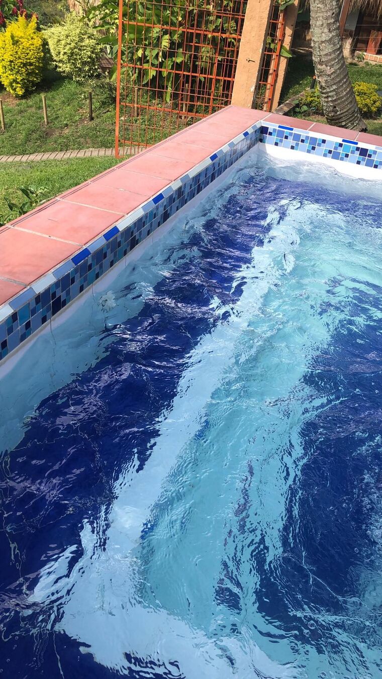 FERCH cover image