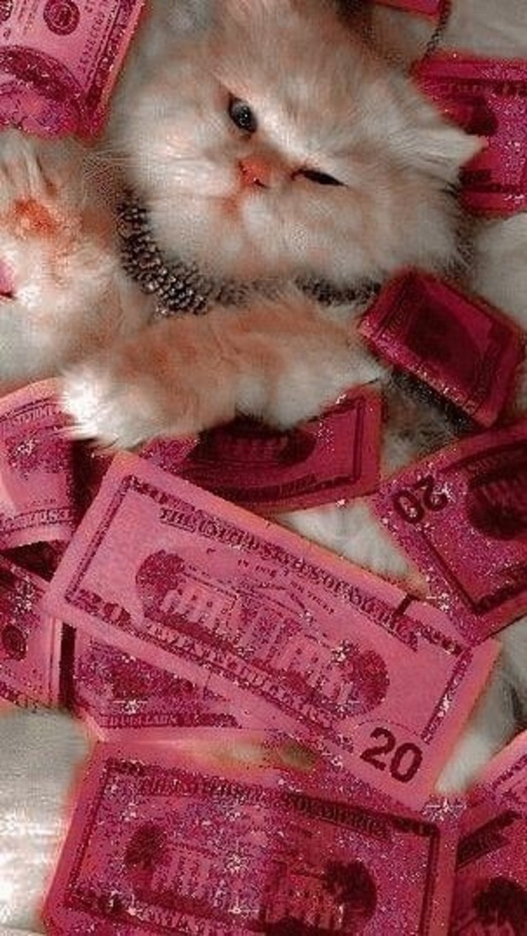 Fernanda banner image