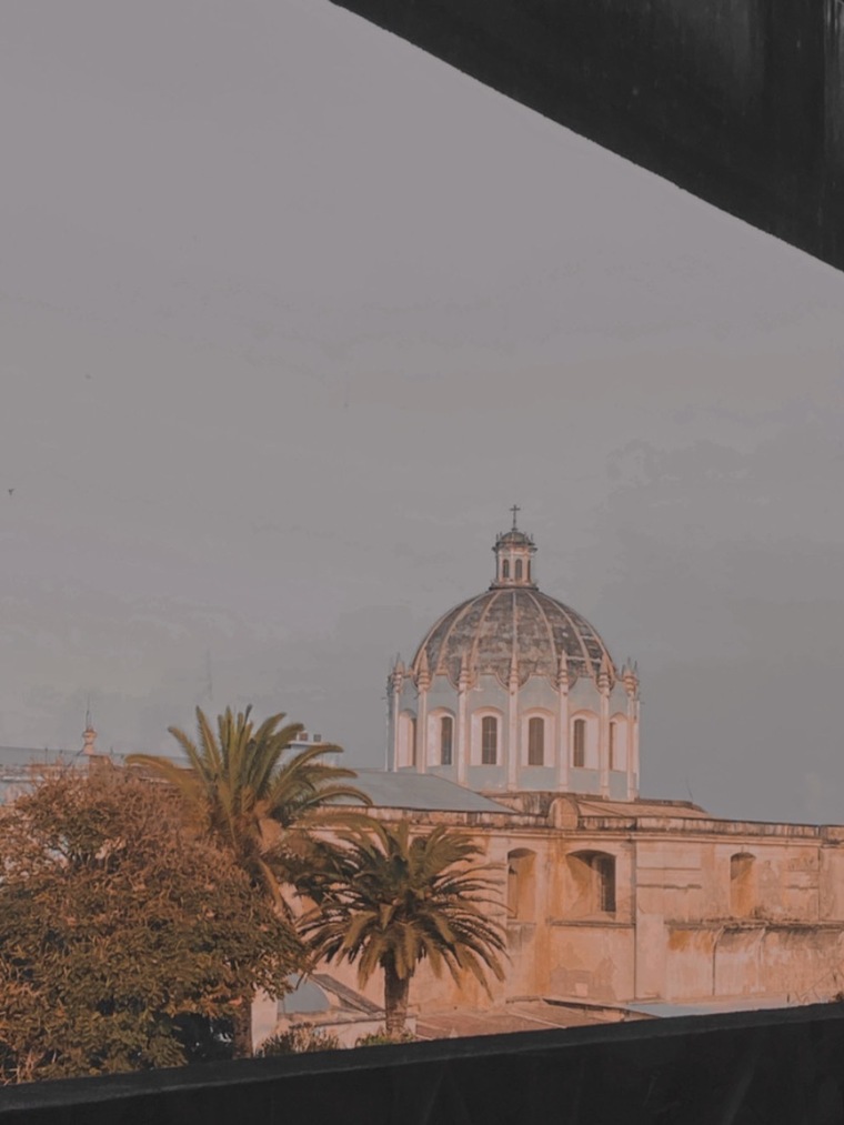 Ferna banner image