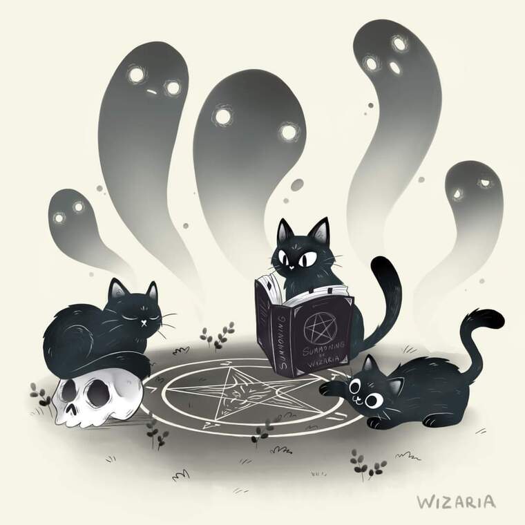Kittysepulcher banner image