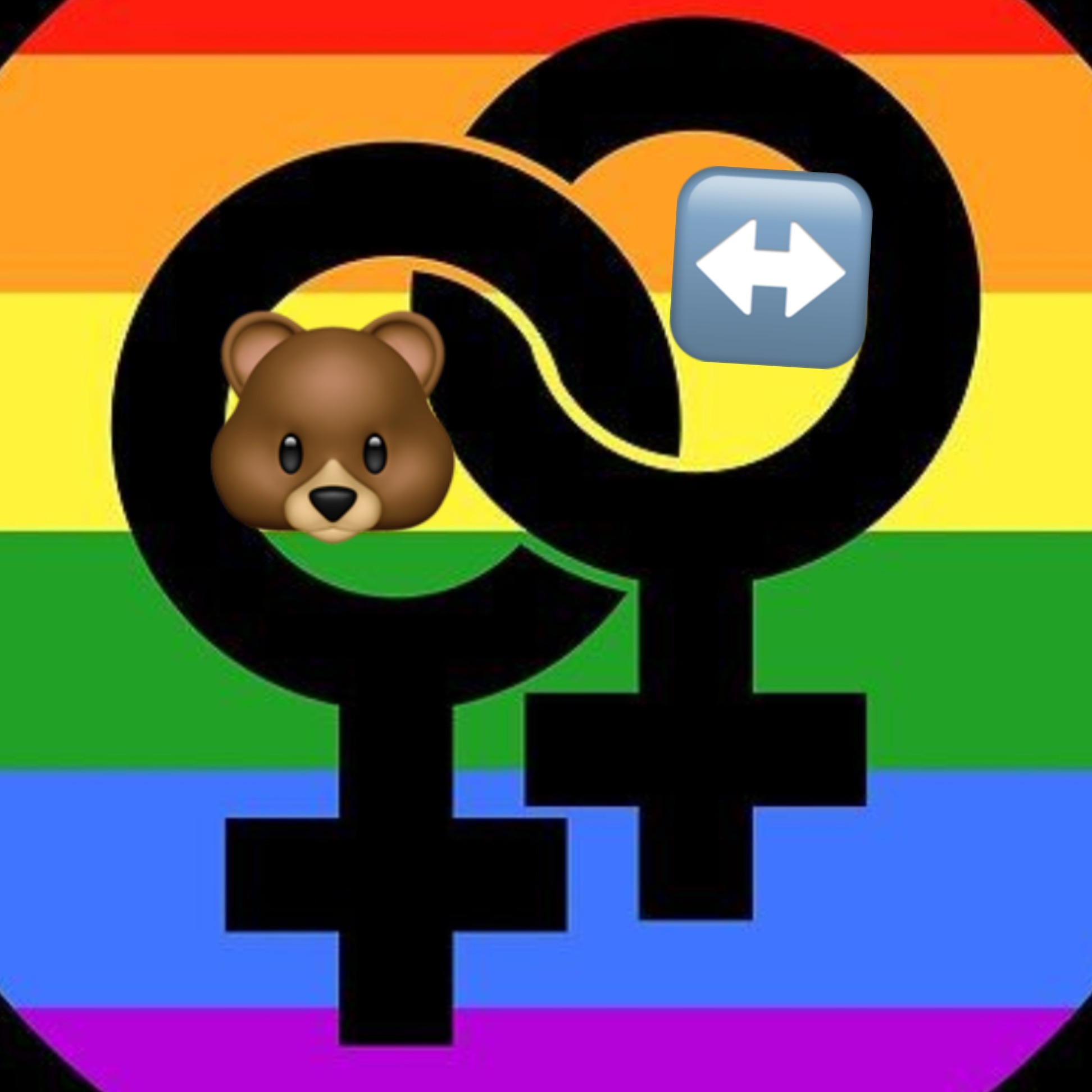 Ferreira bear banner image