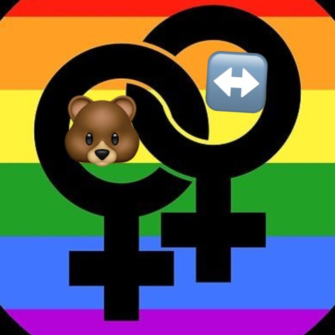 Ferreira bear cover image