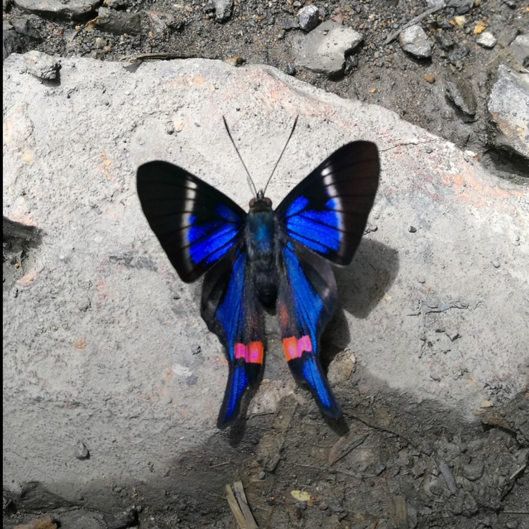 FetishZoneXo cover image