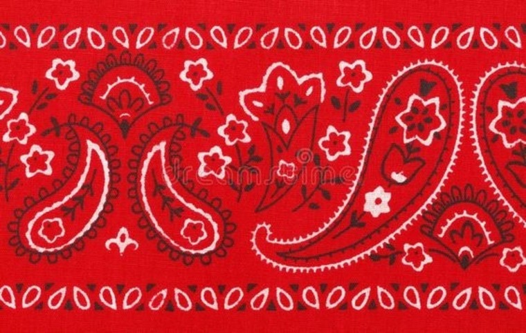 FFist Bottom cover image