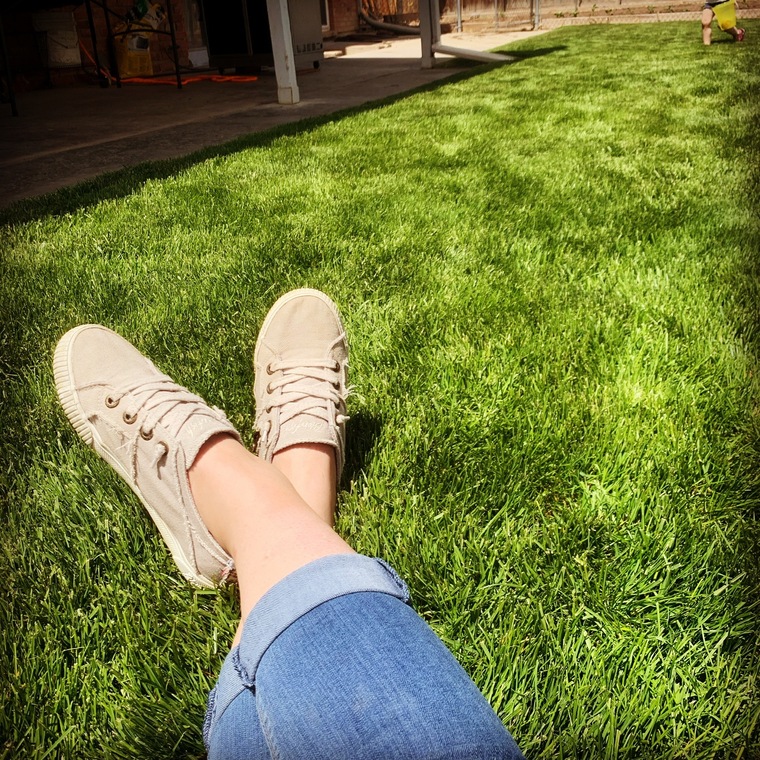FeistyFeet banner image