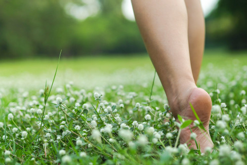 Filles Des Fleurs banner image