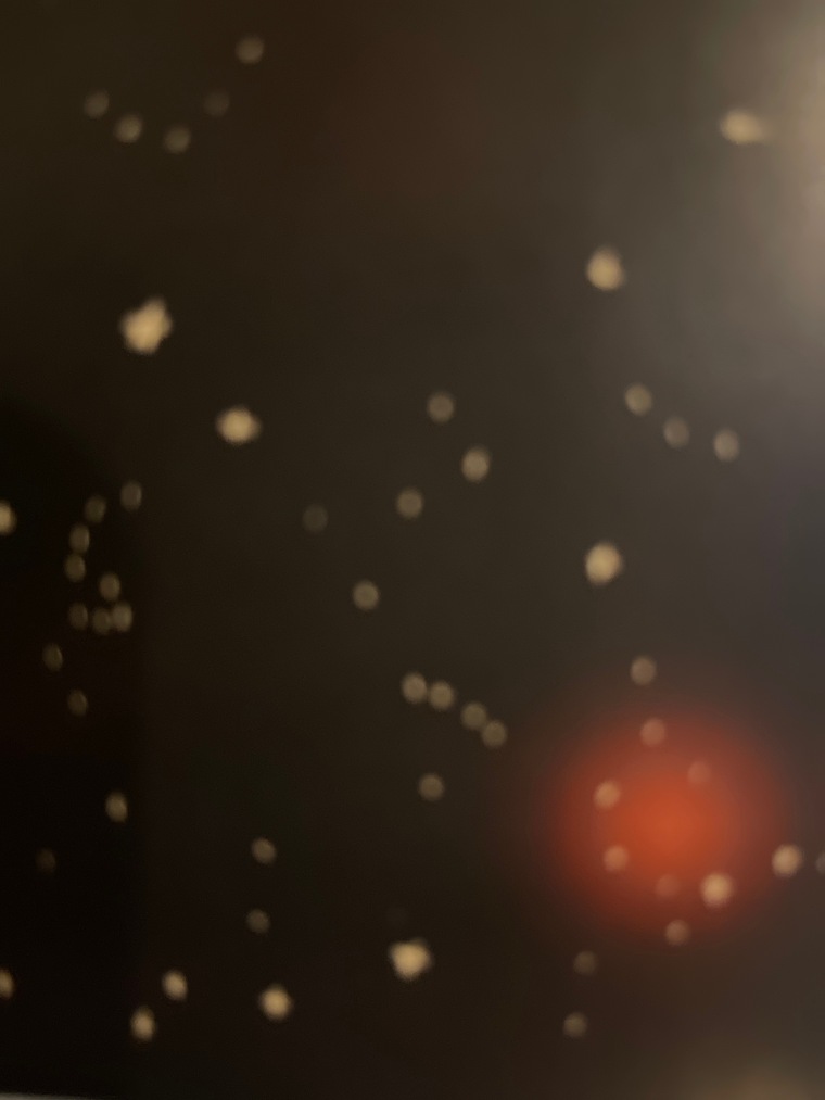 finbearfin cover image