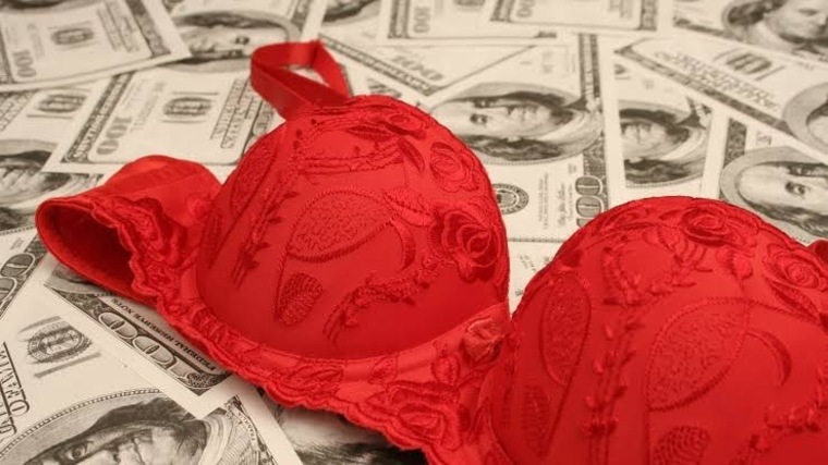 FINDOM PAY PIG DOMINATION cover image