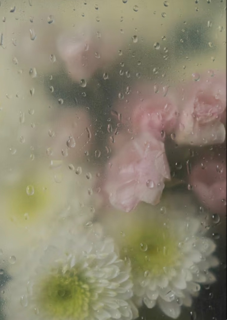 FindomPrincessLynn cover image