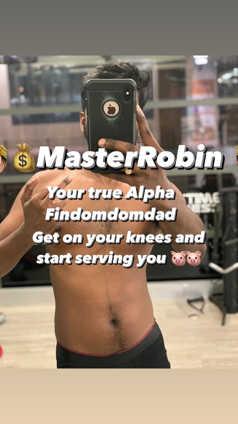 MasterRobin banner image