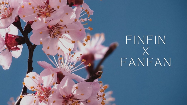finfinxfanfan banner image