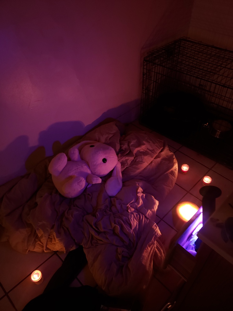 Finley cover image