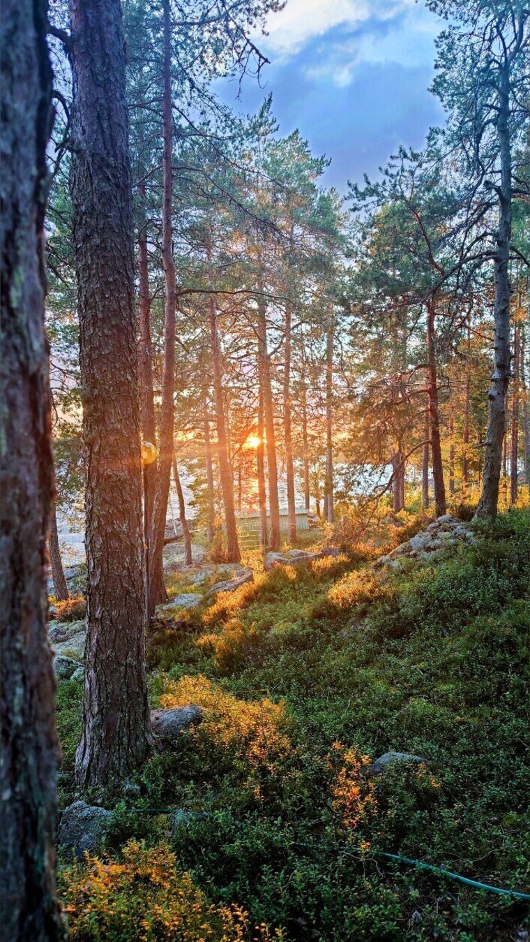 Finnishgentleman cover image