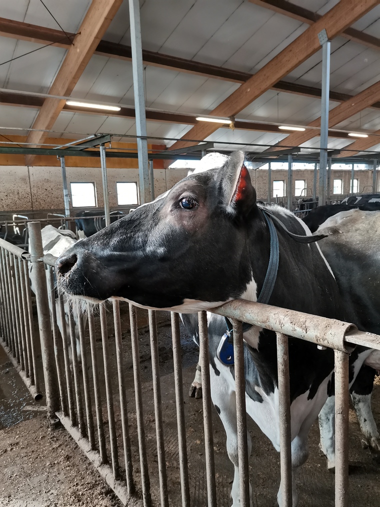 FinnishFarmer banner image