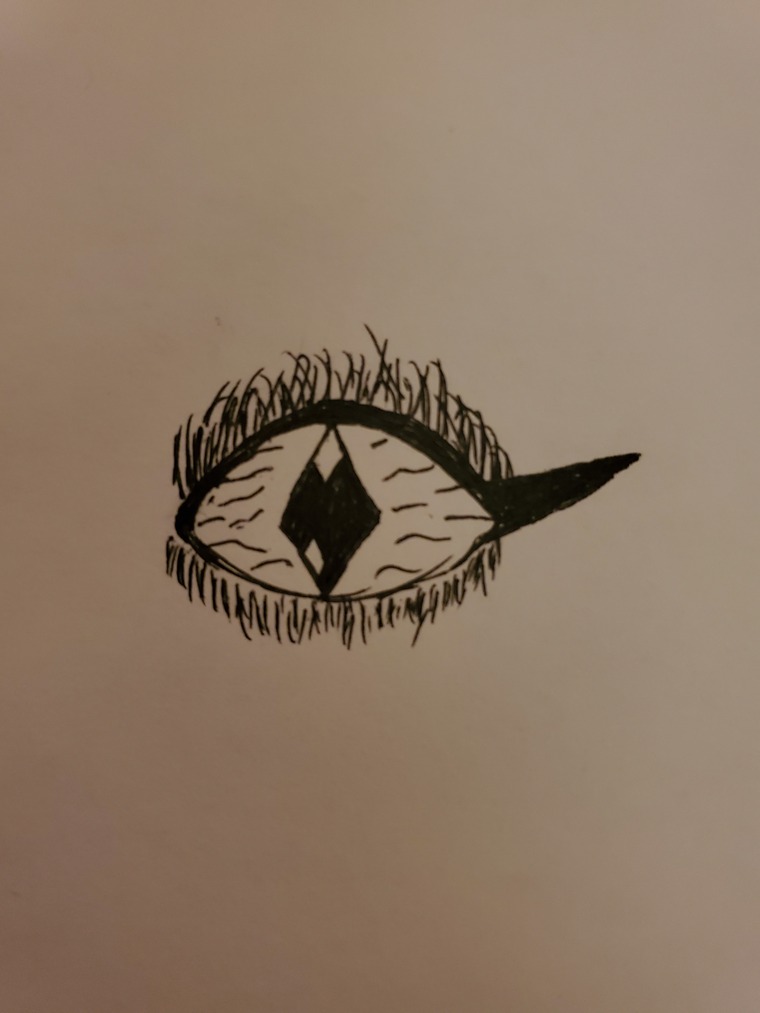 Finley banner image