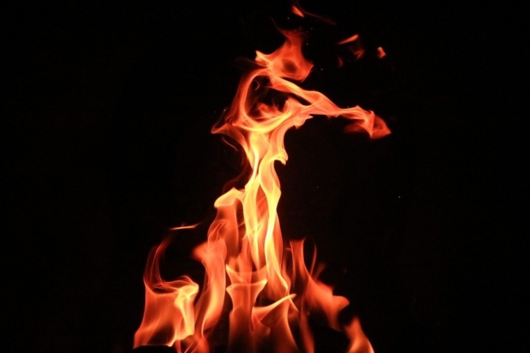 🔥Fire Phoenix 🔥 cover image