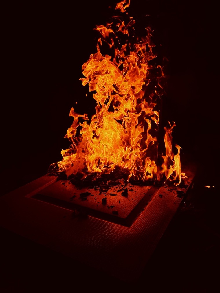 Lou banner image