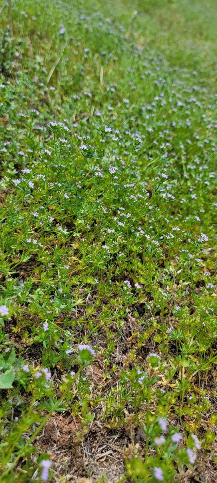 Financed Ranch cover image